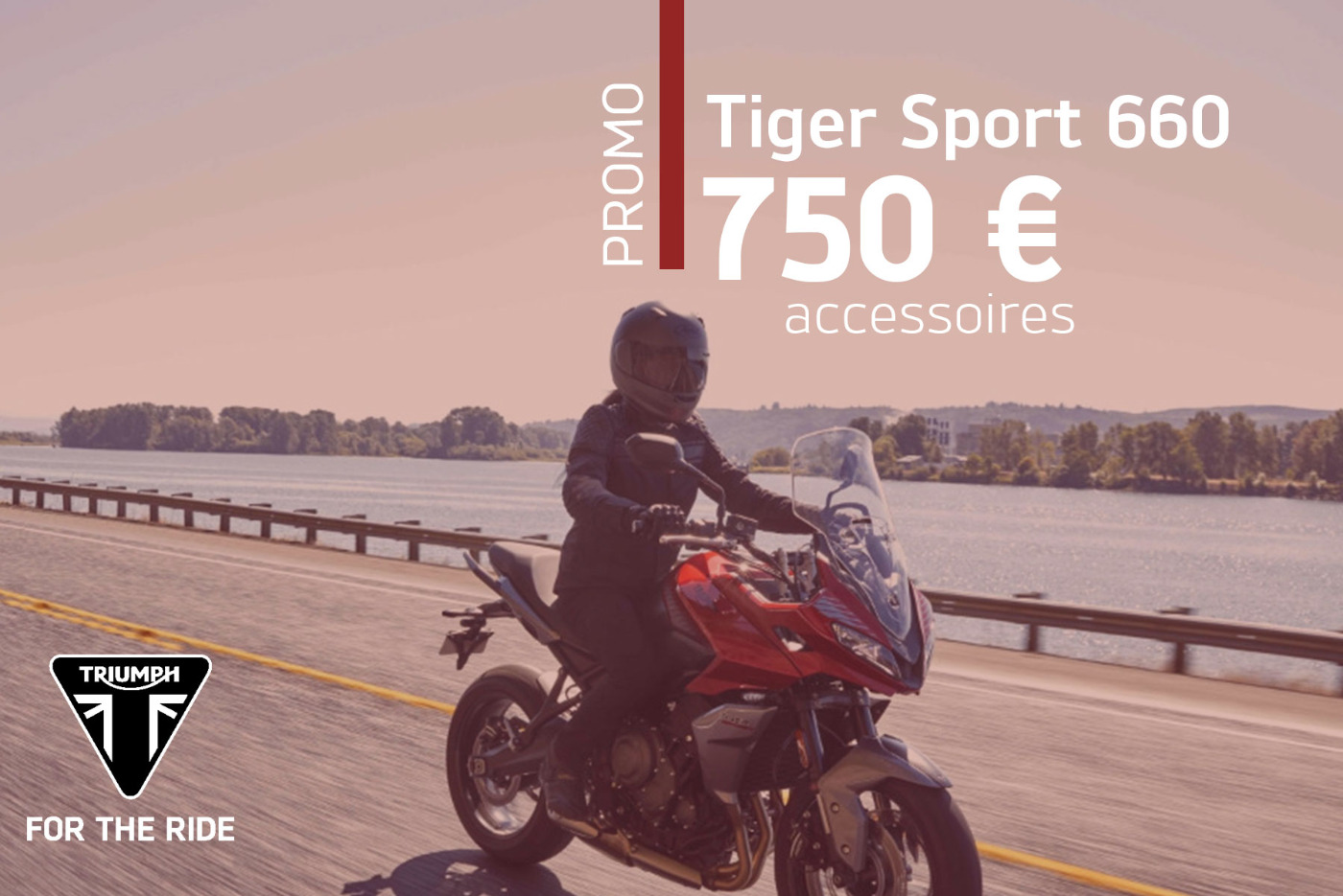 Promotie Tiger Sport 660